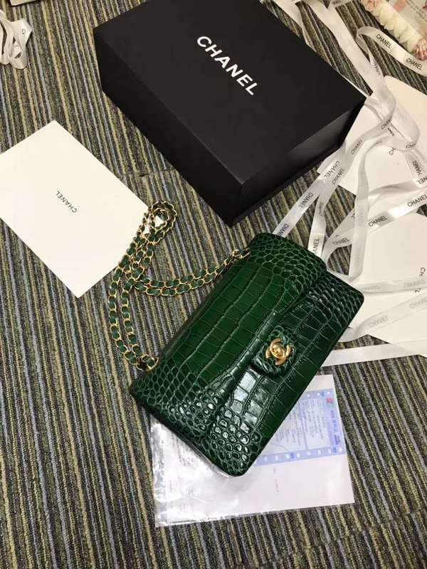 Chanel Bags - BG Bags - 611