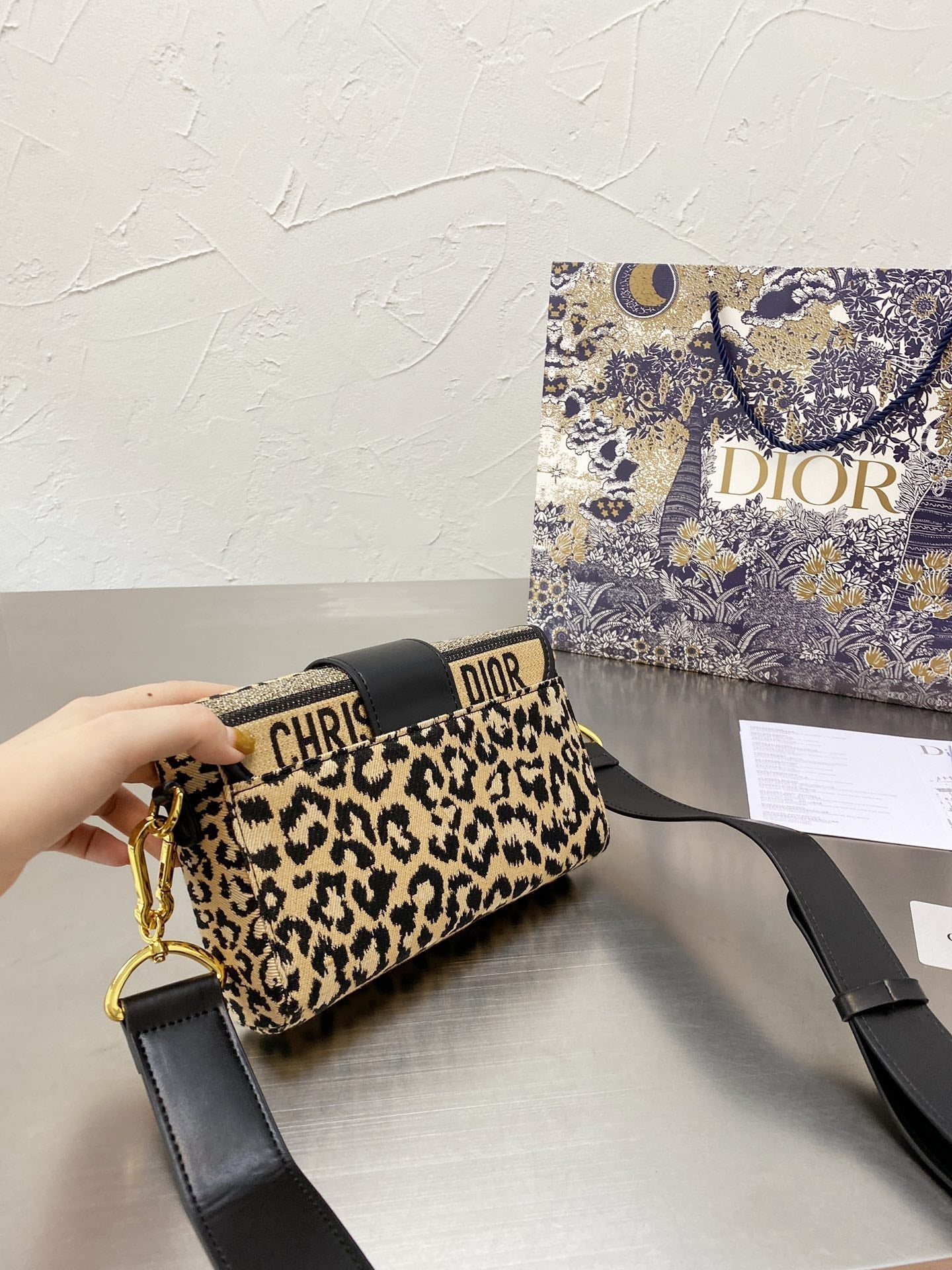 Luxury Handbags Christian Dior 329