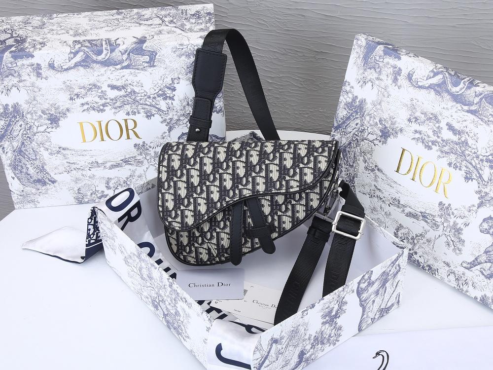 Designer Handbags dior 100