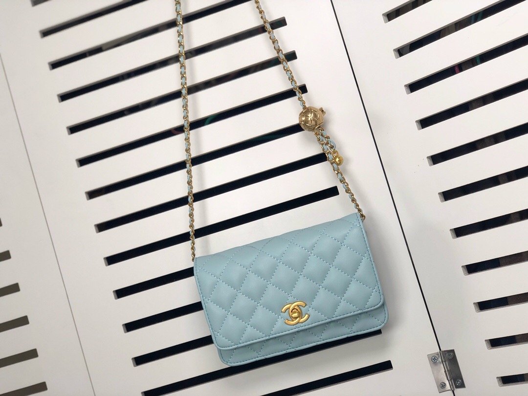 Designer Handbags Chanel 076