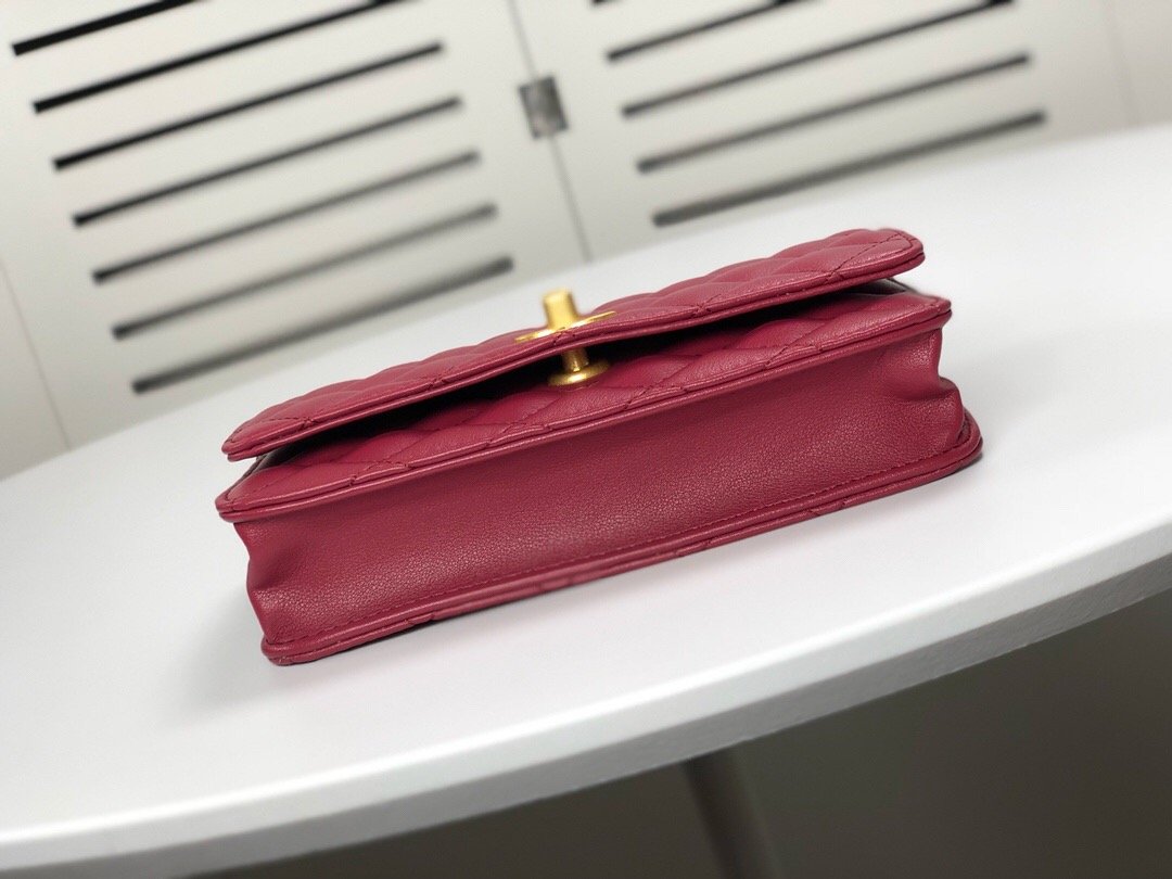 Designer Handbags Chanel 079