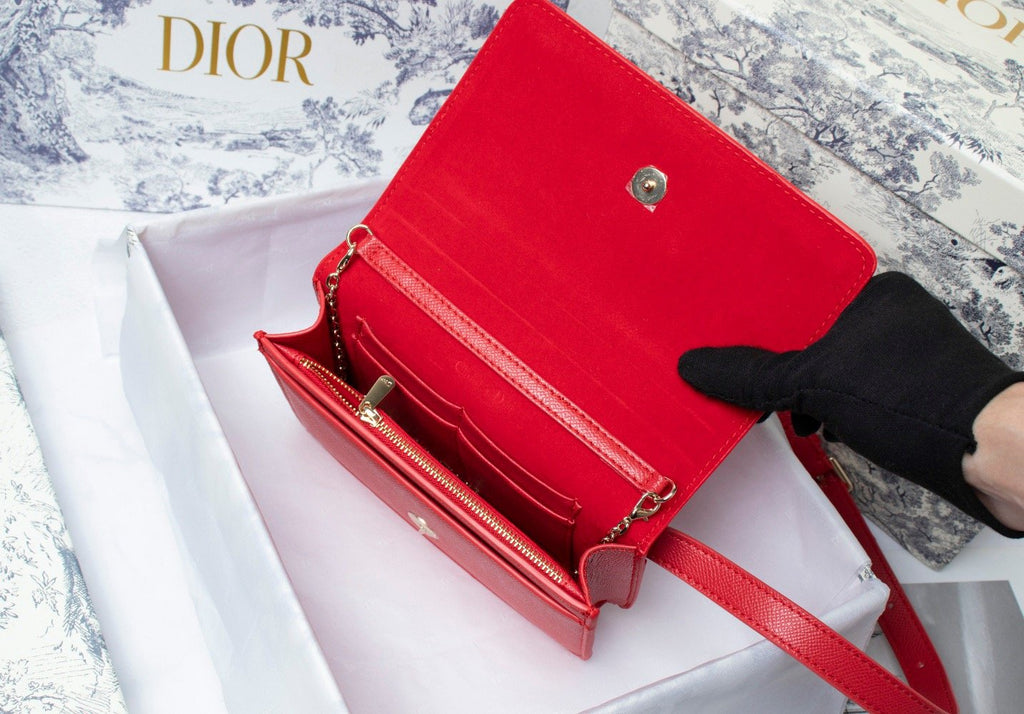 Designer Handbags dior 134