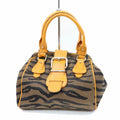 Indistinguishable  Fendi Hand Bag Brown Canvas (SHC1-14395)
