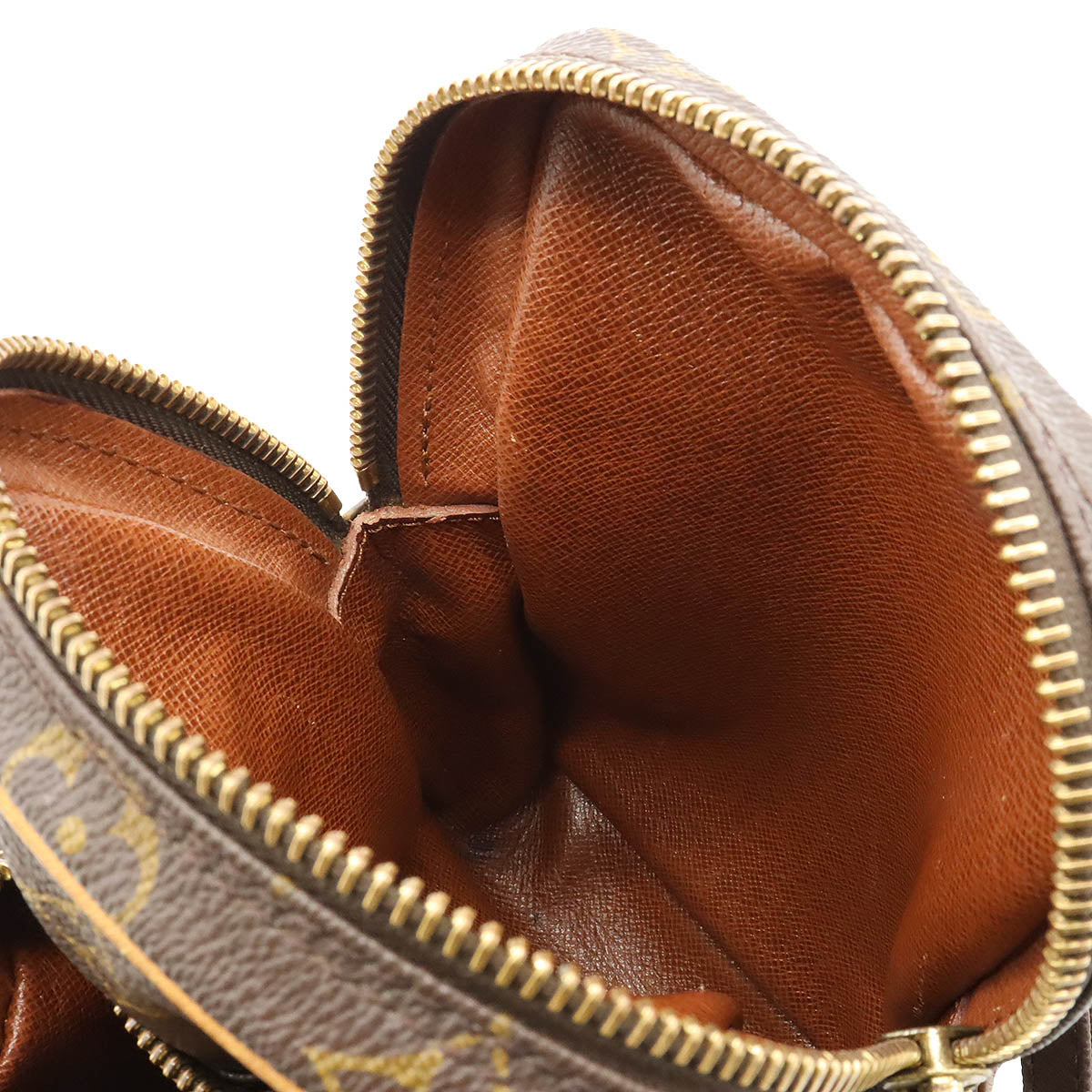 Louis Vuitton Monogram Mini Amazon Crossbody Bag M45238