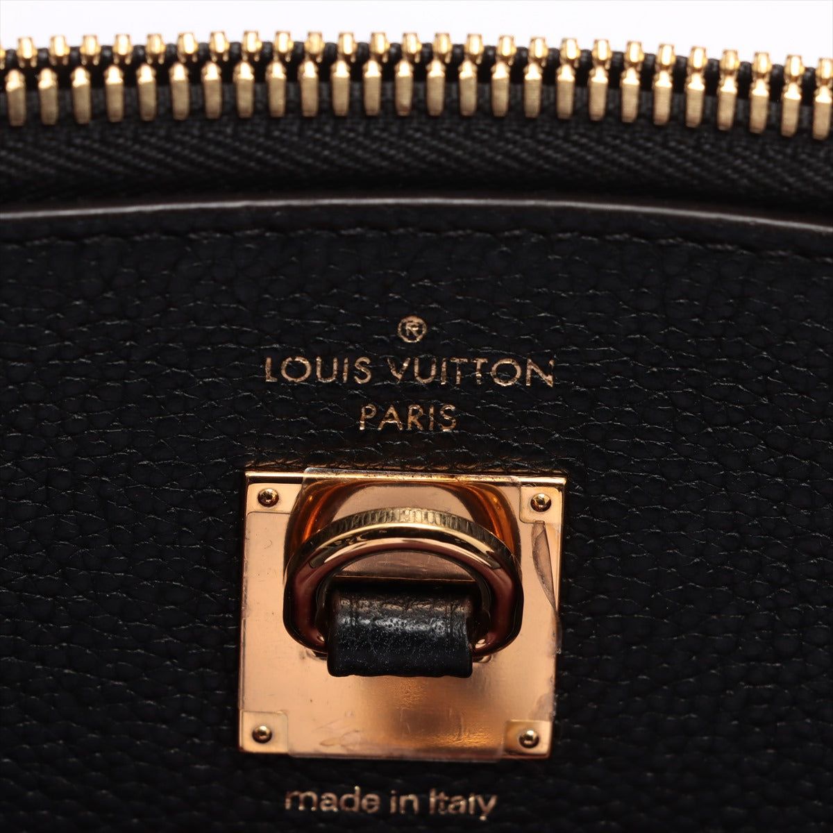 Louis Vuitton Bicolor Leather City steamer shoulder bag