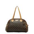 Louis Vuitton Monogram M95566 Shoulder Bag PVC/Leather Brown