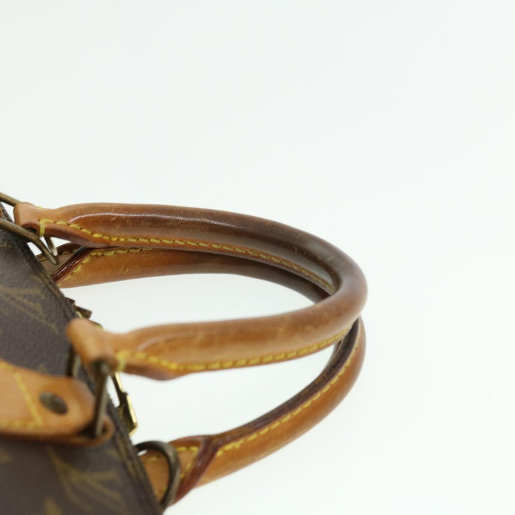 Louis Vuitton Brown Canvas Alma handbag bag