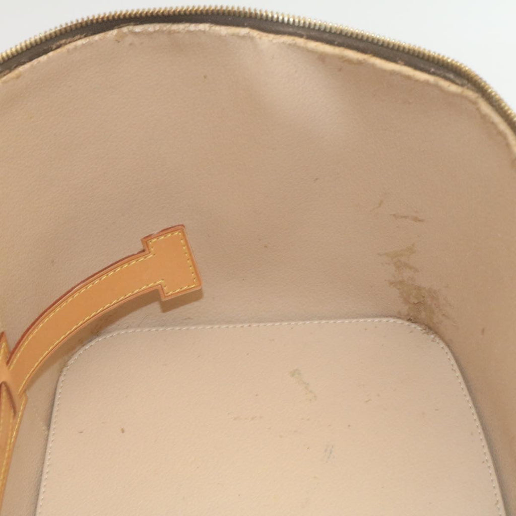 Louis Vuitton Brown Canvas Vanity shoulder bag