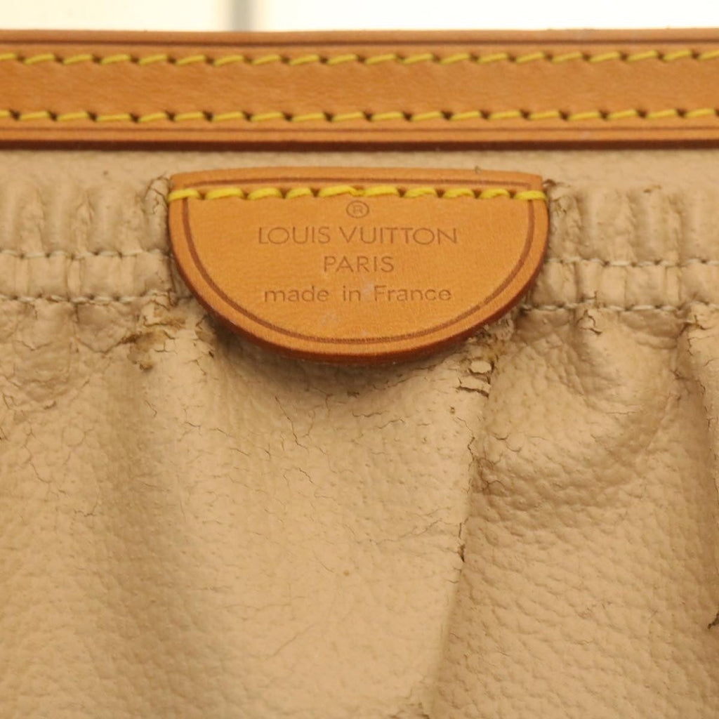 Louis Vuitton Brown Canvas Vanity shoulder bag