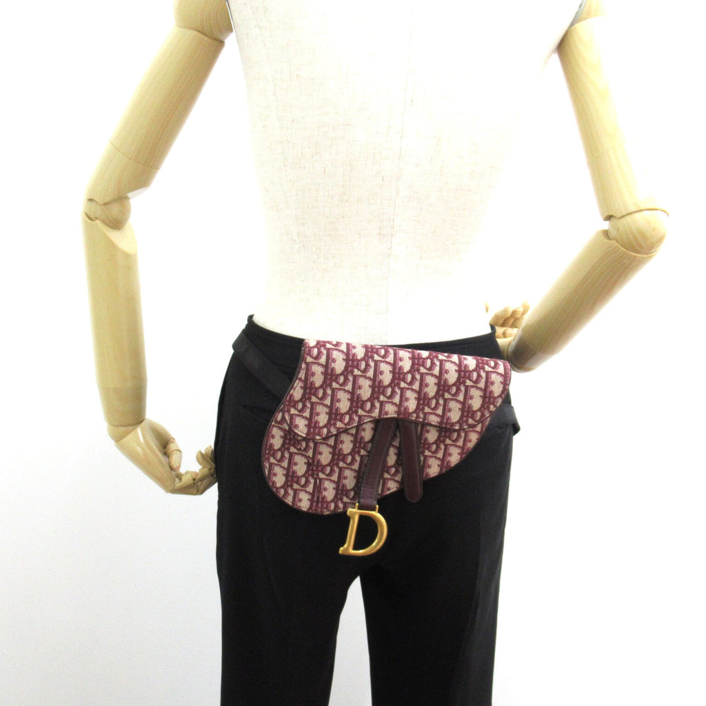 Dior Mini saddle bag Bordeaux system canvas
