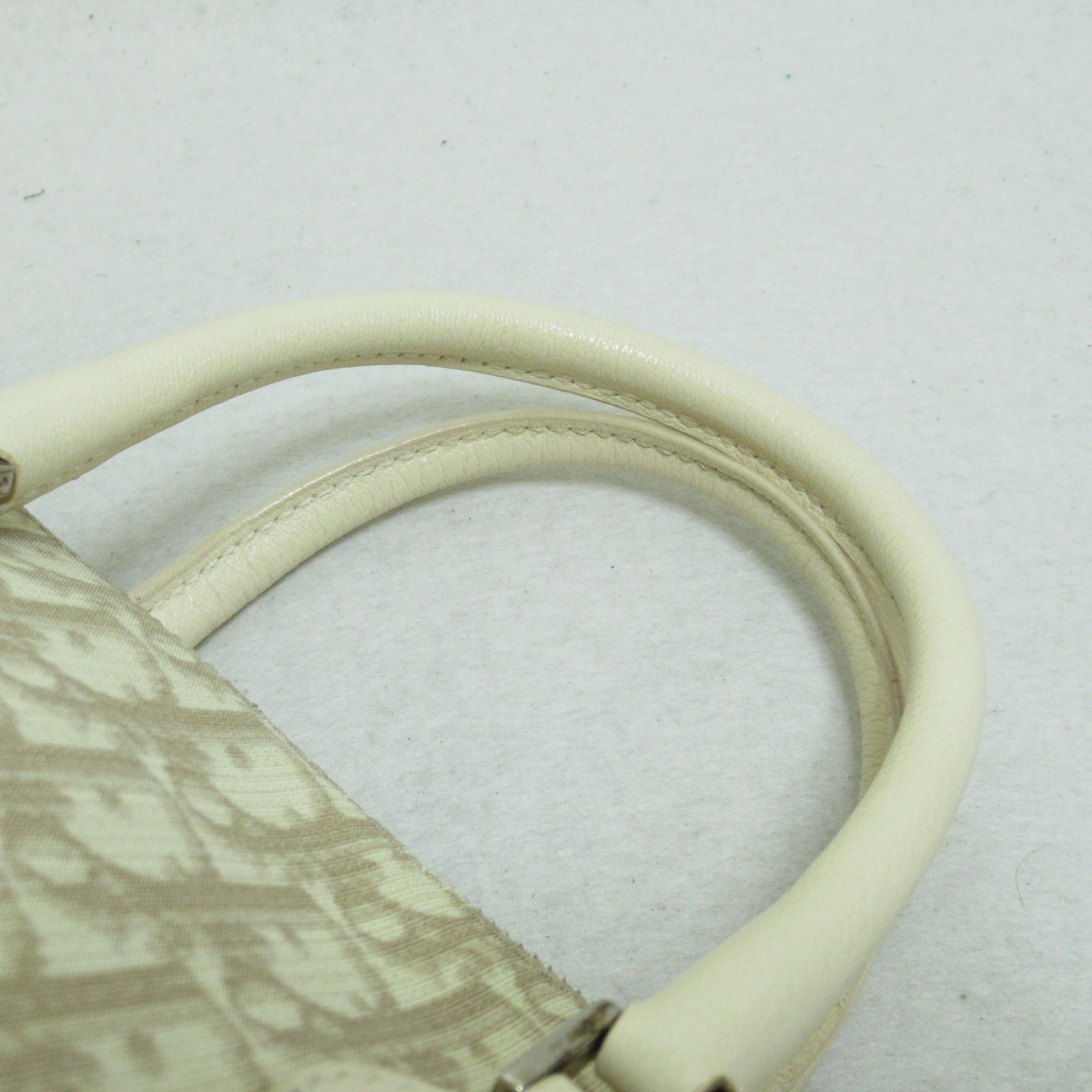 Dior trotter boston bag Beige Flower embroidery leather PVC coated canvas