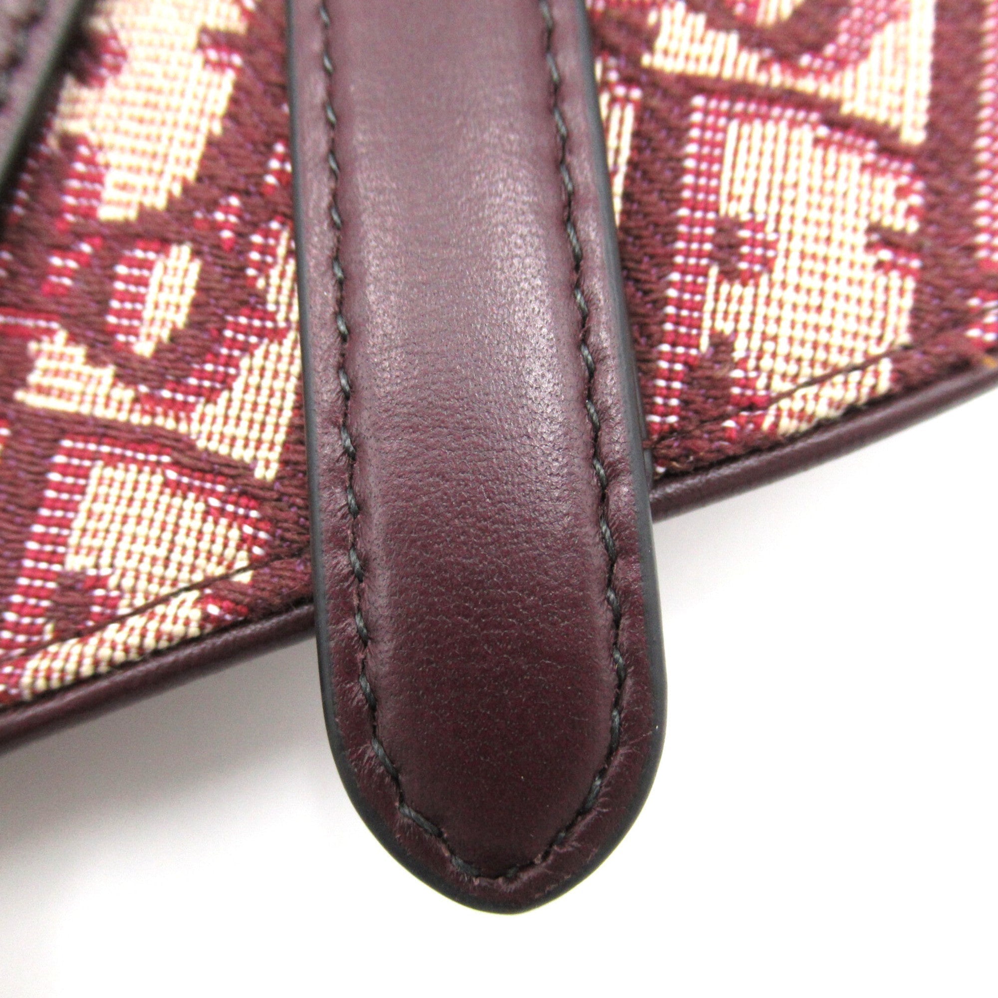 Dior Mini saddle bag Bordeaux system canvas