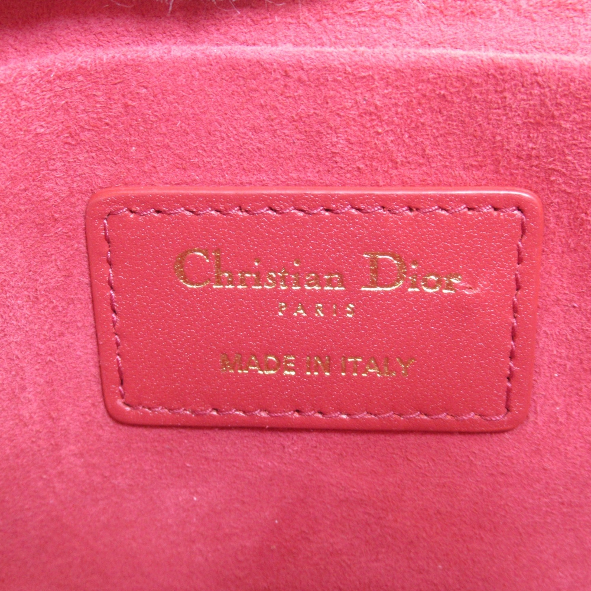 Dior Vanity Shoulder Bag Red Lambskin [sheep leather] S5488UNTR