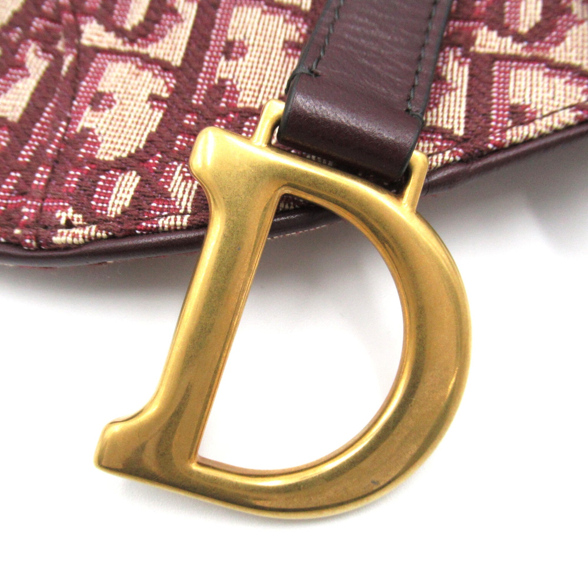 Dior Mini saddle bag Bordeaux system canvas
