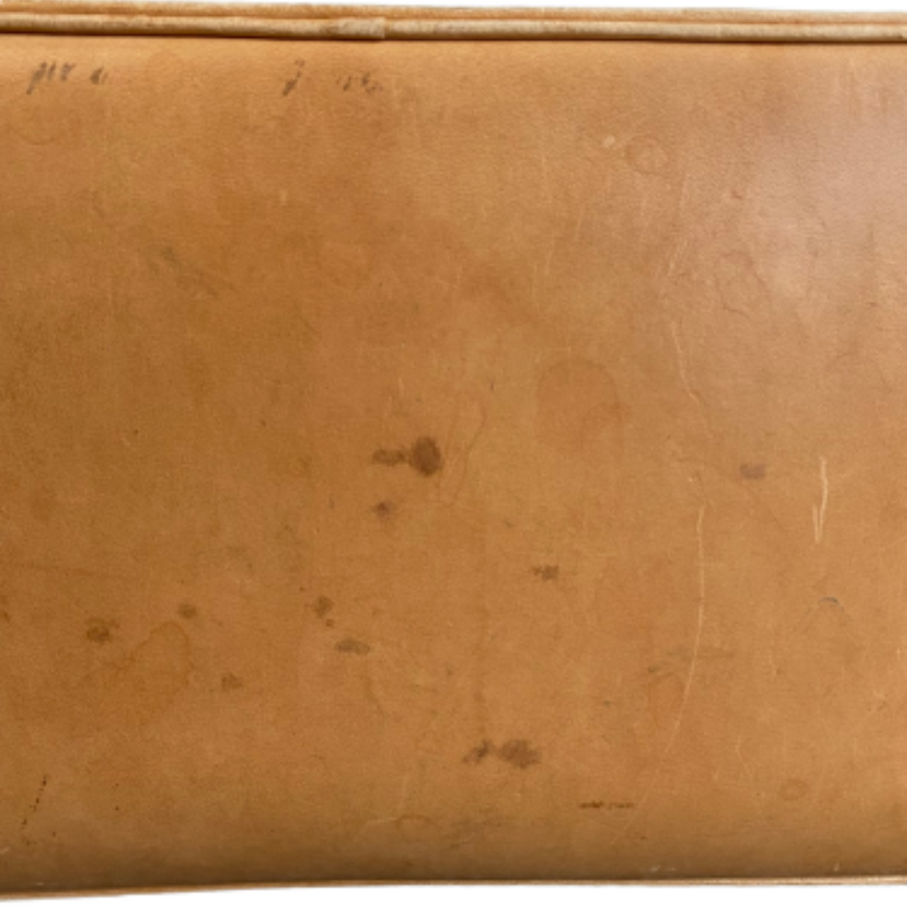 Louis Vuitton Brown Canvas Alma handbag bag