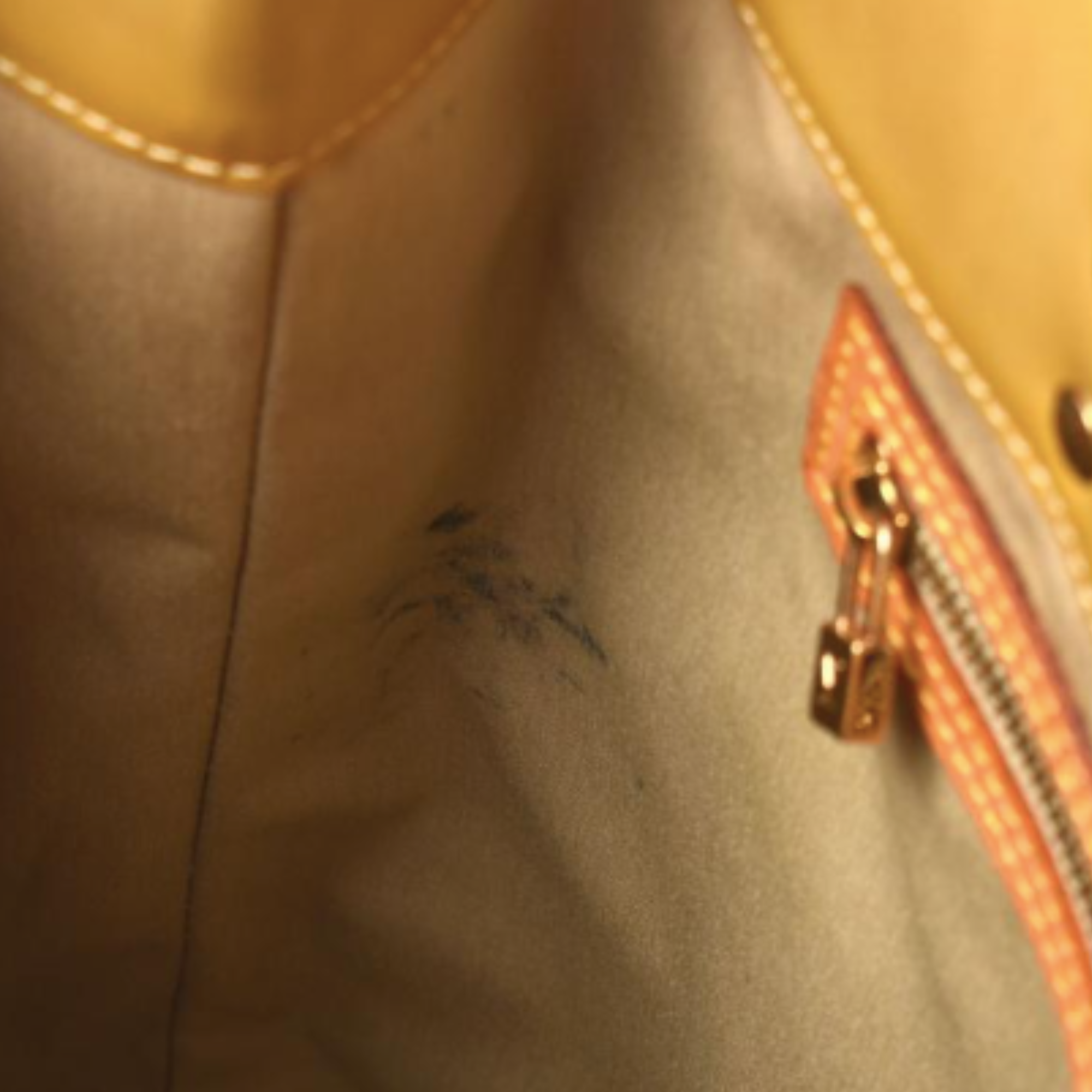 Louis Vuitton Beige Patent leather Reade handbag bag