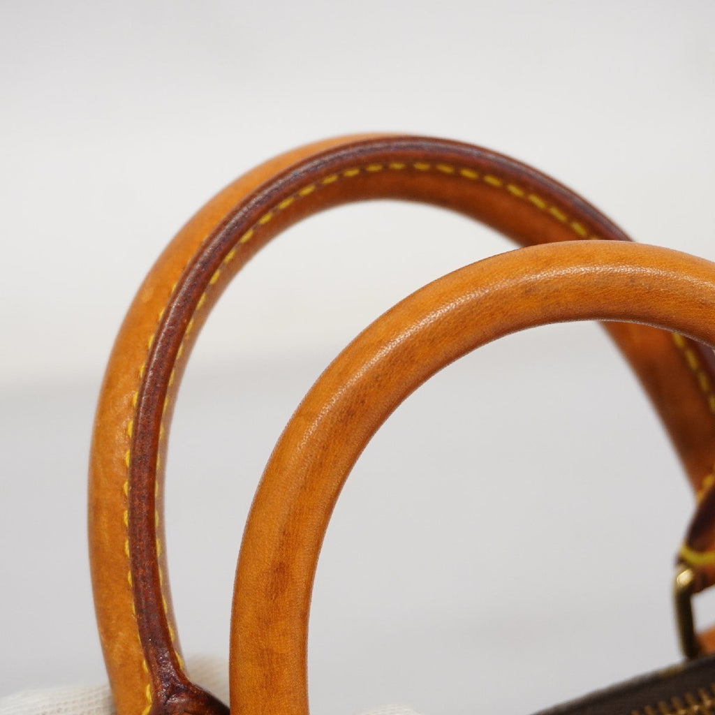 Louis Vuitton Mini Speedy Nano Handbag Monogram