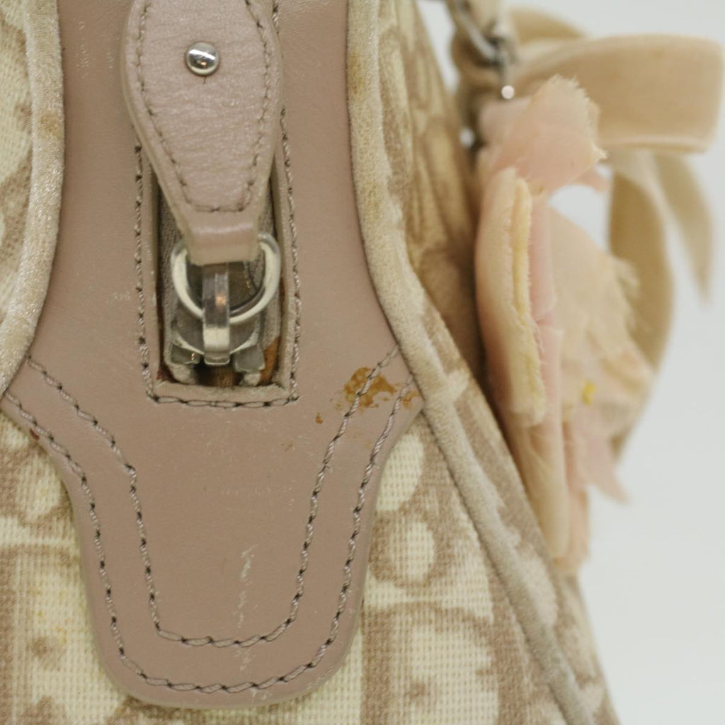 CHRISTIAN DIOR trotter romantic Flower Shoulder Bag Beige 03-BO-1025 Auth 37747