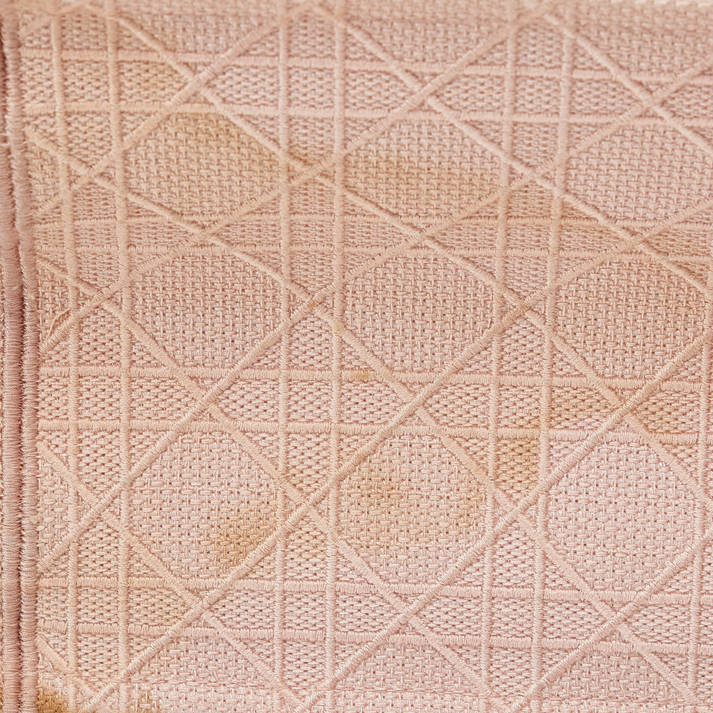 DIOR Medium Cannage Embroidered Book Tote Tote Bag