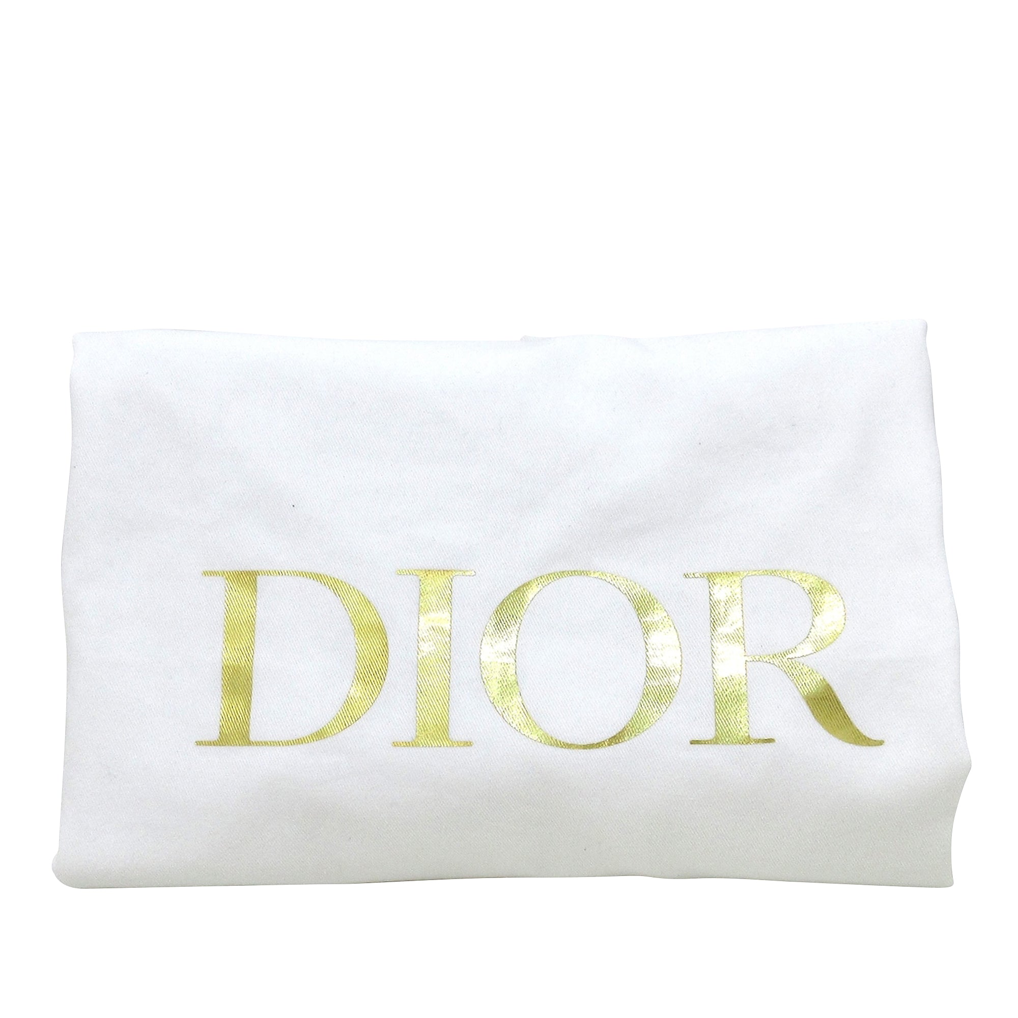 DIOR Large Oblique Book Tote Tote Bag
