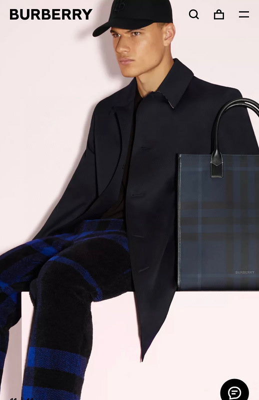 Burberry Bags - BG Bags - 444