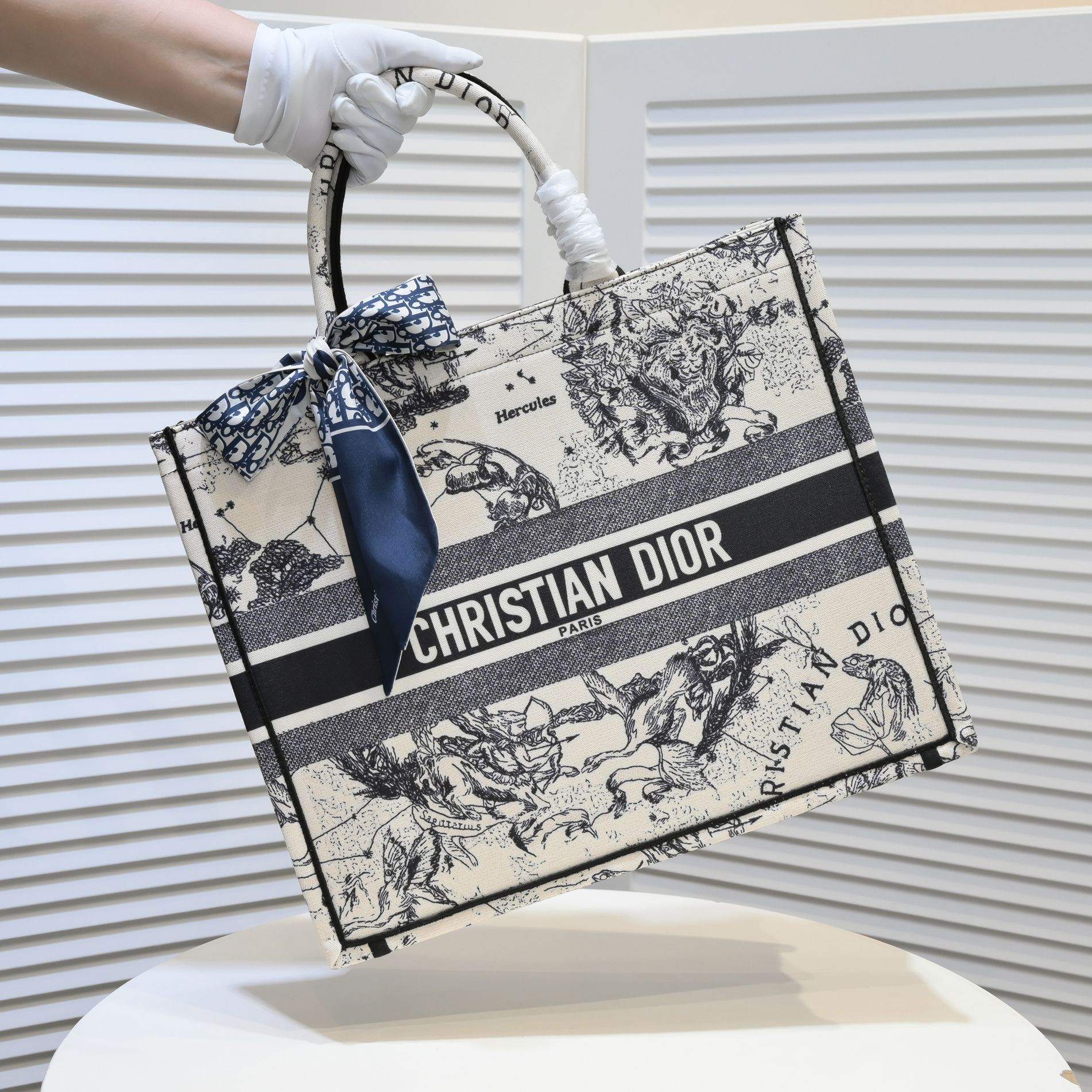 Luxury Handbags Christian Dior 296