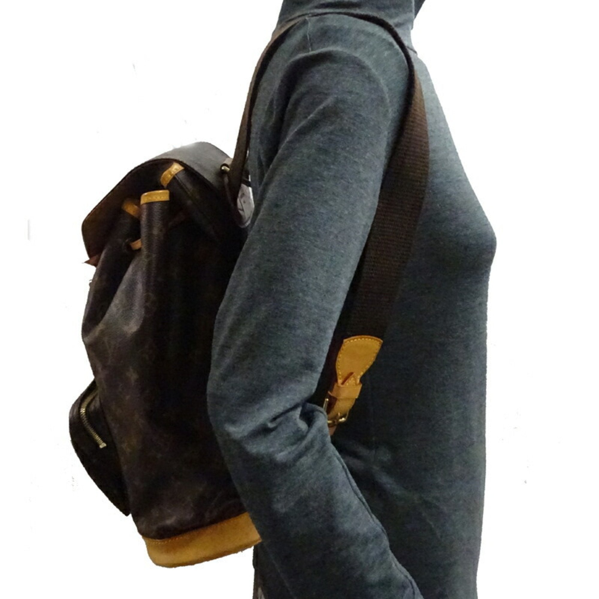 Louis Vuitton Brown Canvas Montsouris backpack bag