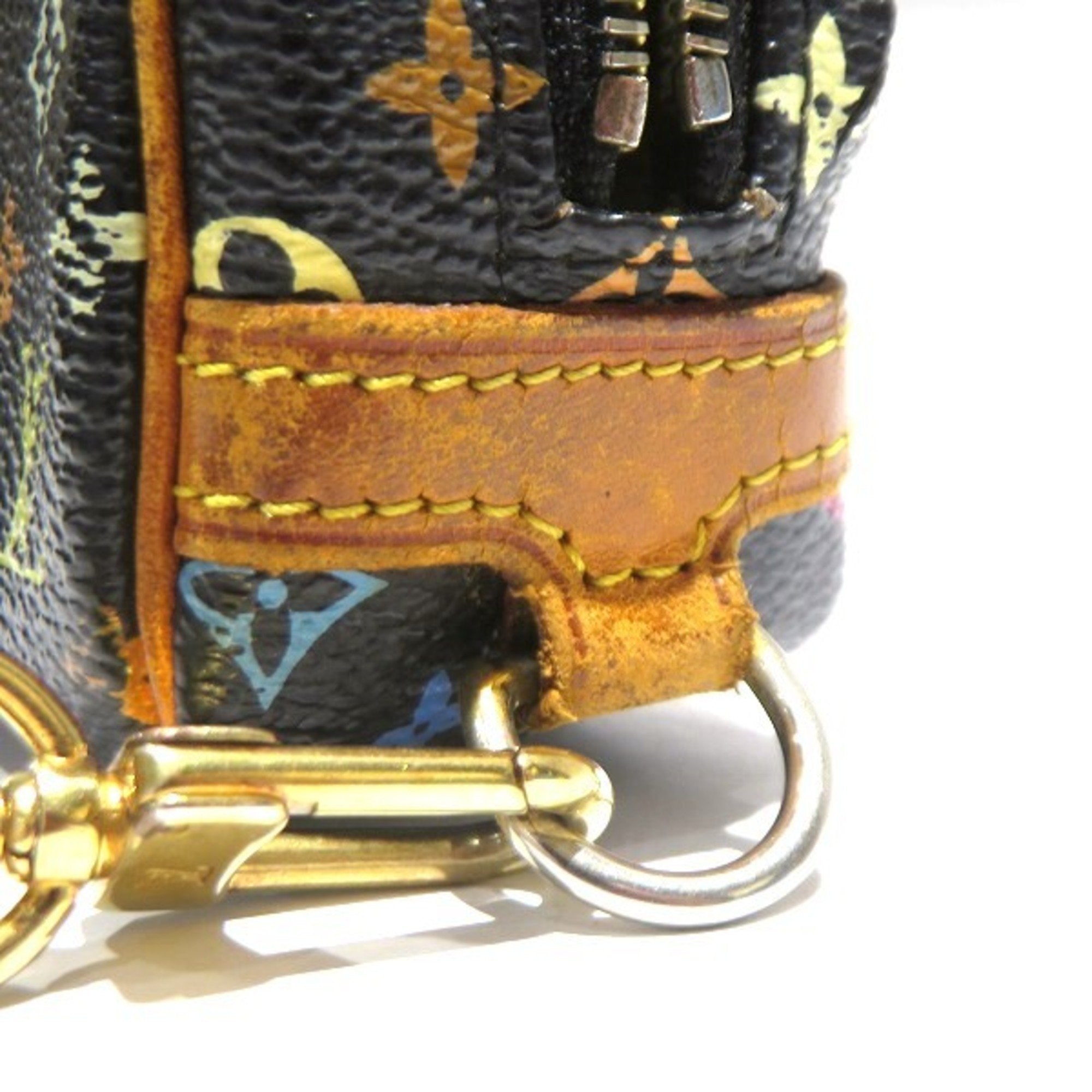 Louis Vuitton Multicolor Canvas Wapiti clutch bag