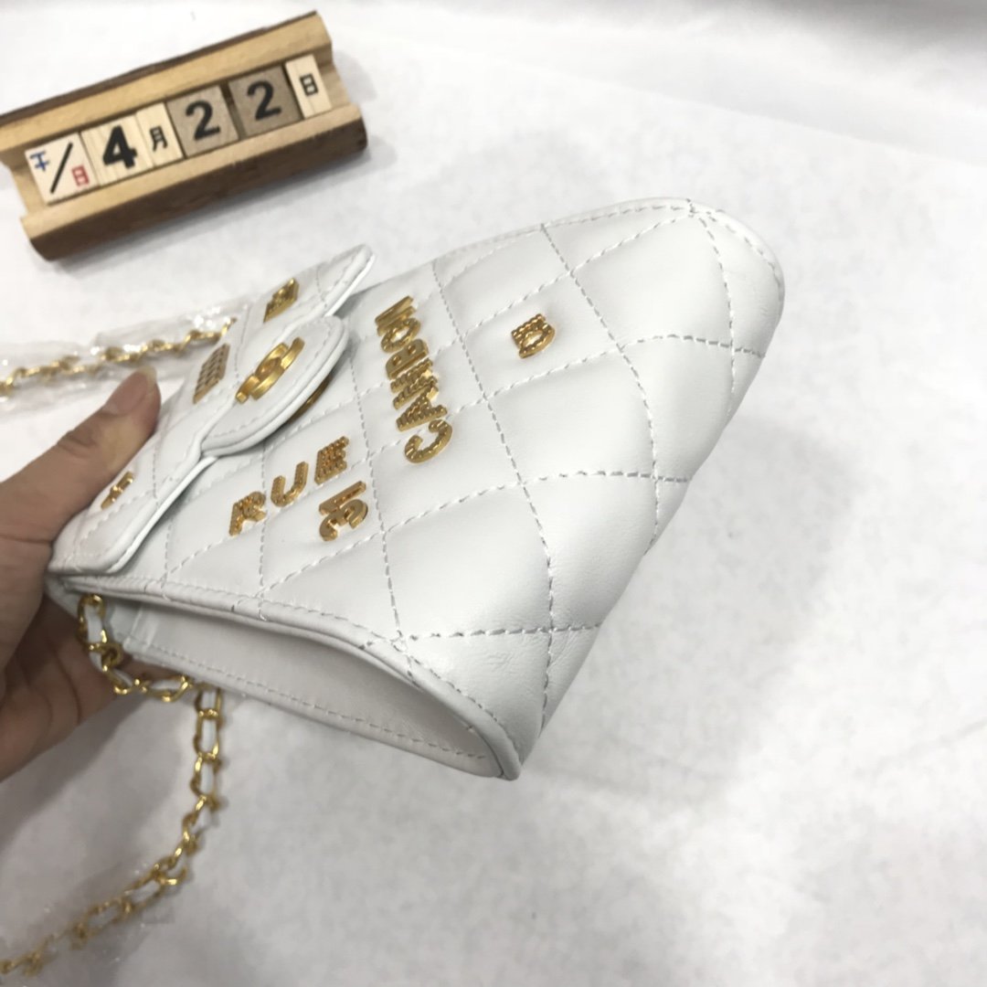 Designer Handbags Chanel 231