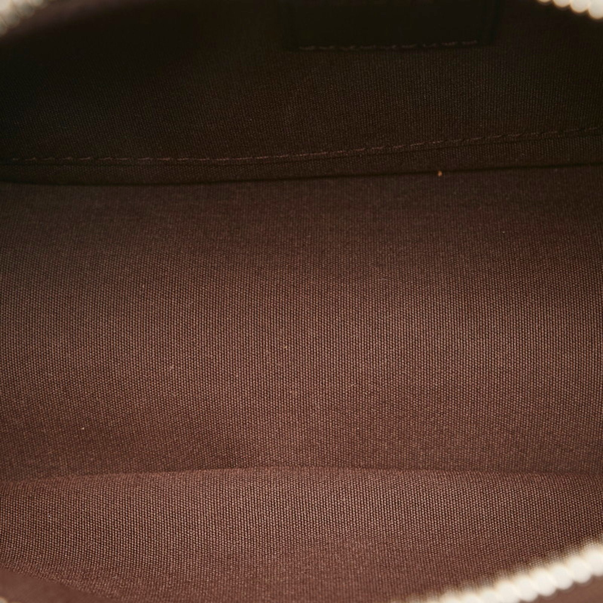 Louis Vuitton Brown Leather Danura handbag bag