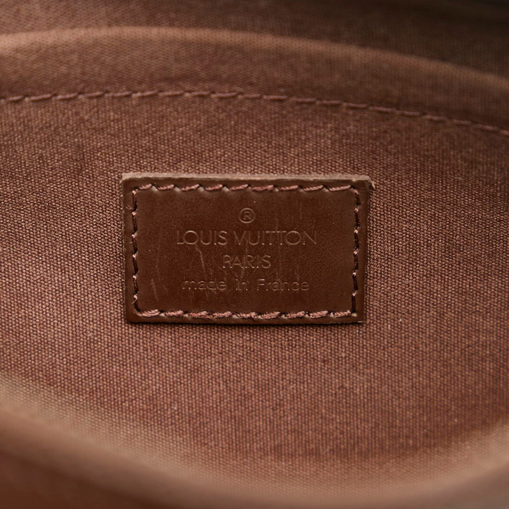 Louis Vuitton Brown Leather Danura handbag bag