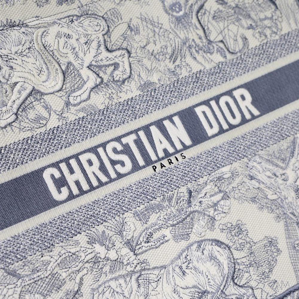 DIOR BOOK TOTE