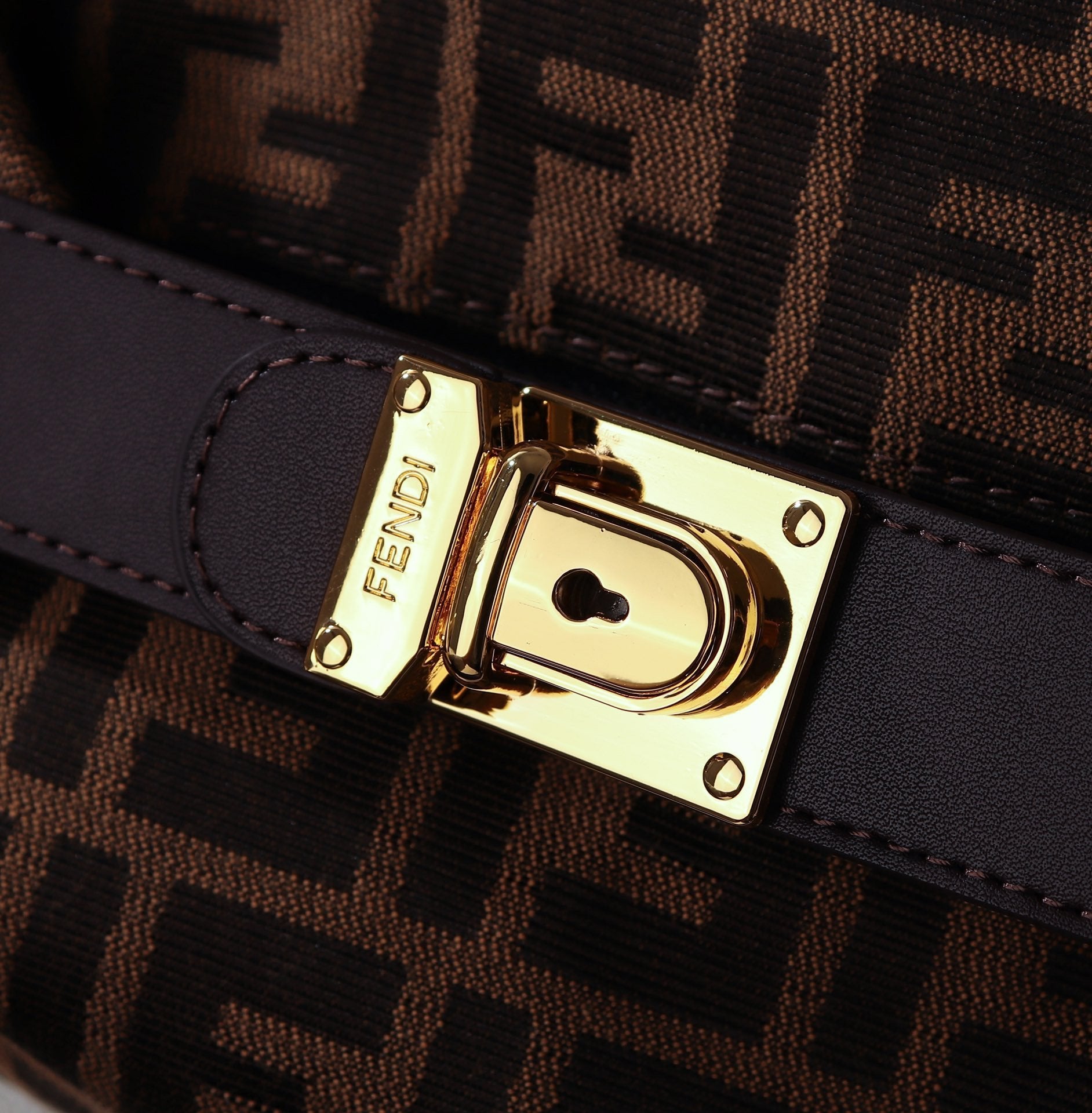 Luxury  Bags Fendi 100