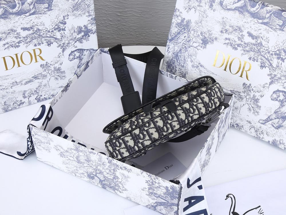Designer Handbags dior 100