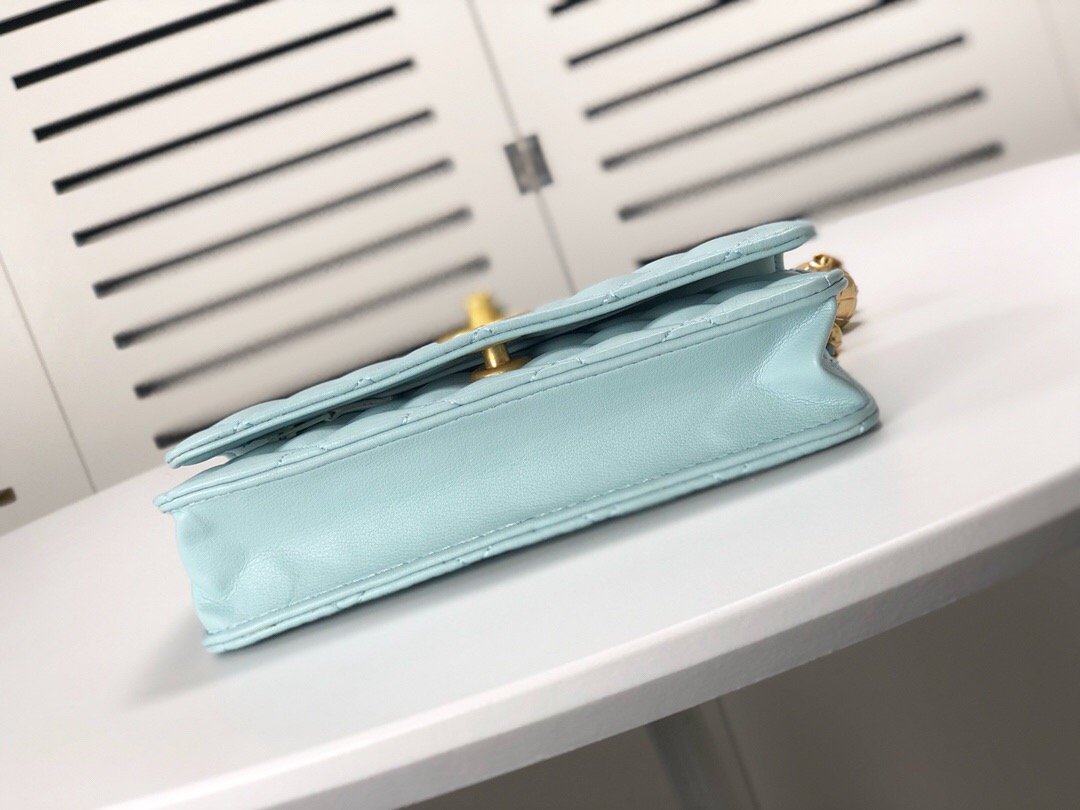 Designer Handbags Chanel 076