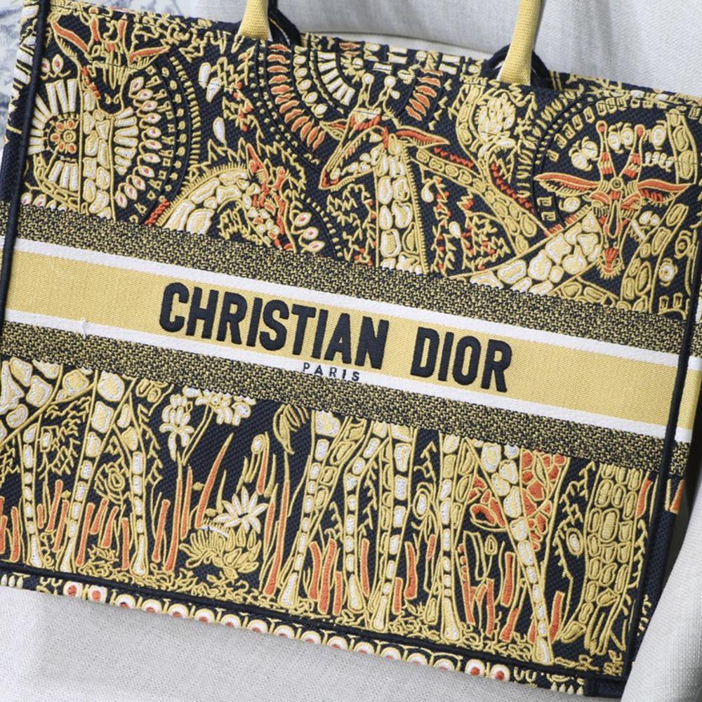 DIOR BOOK TOTE