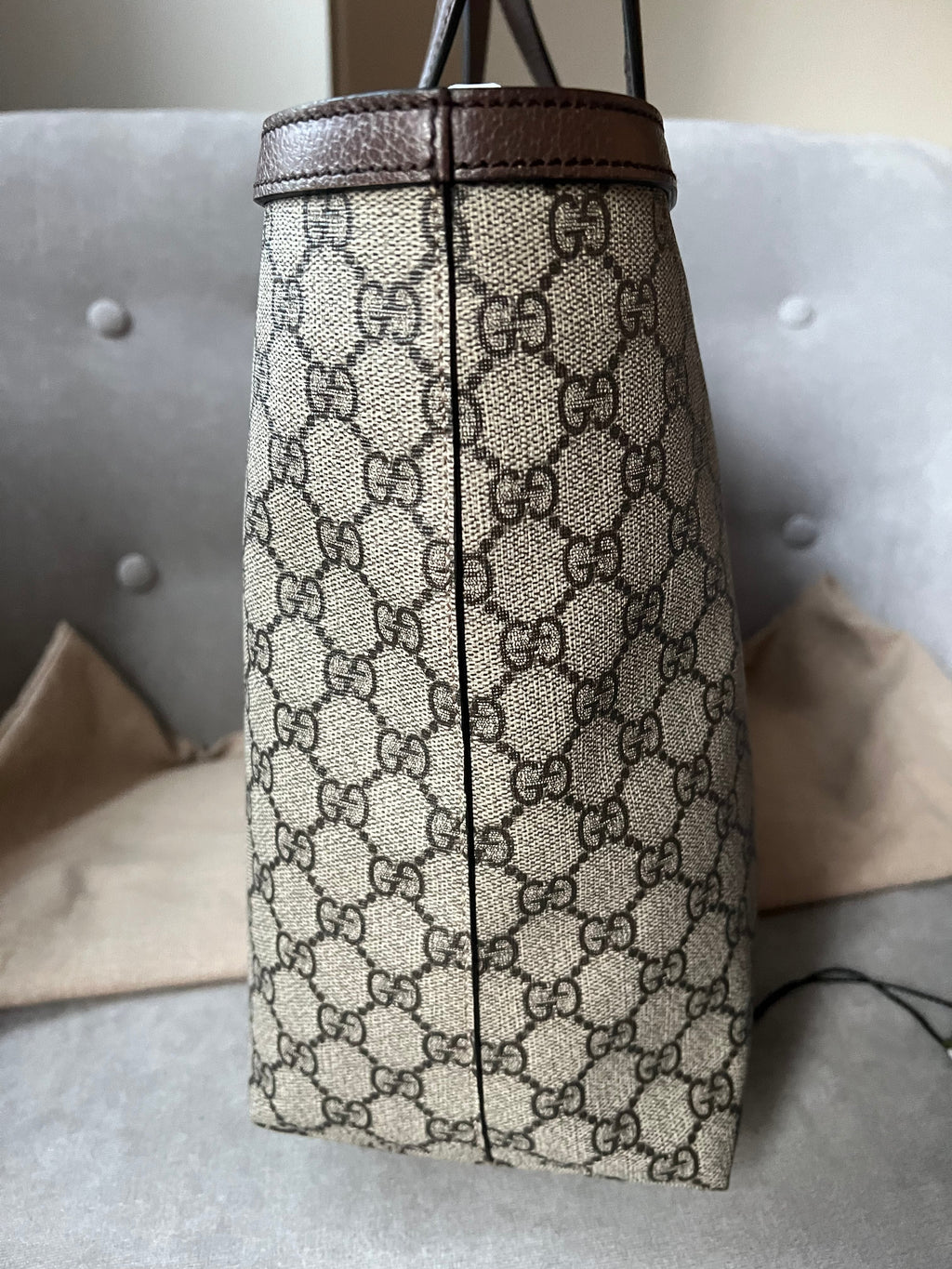 Gucci Bag