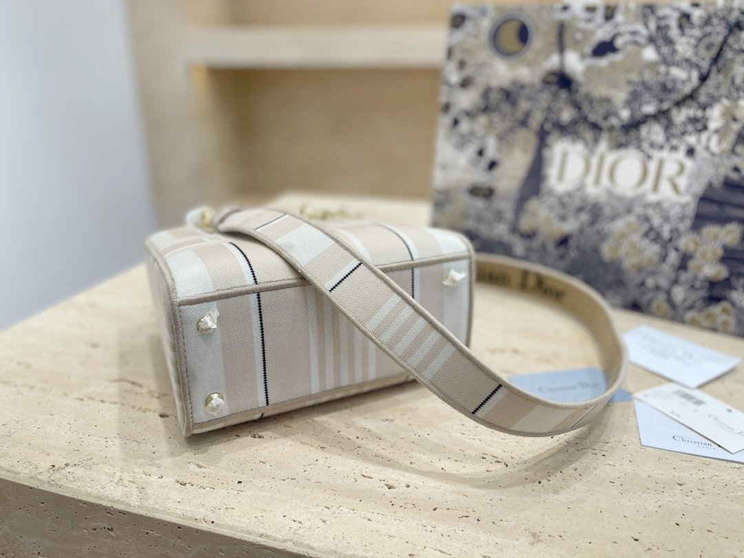Luxury Handbags Christian Dior 330