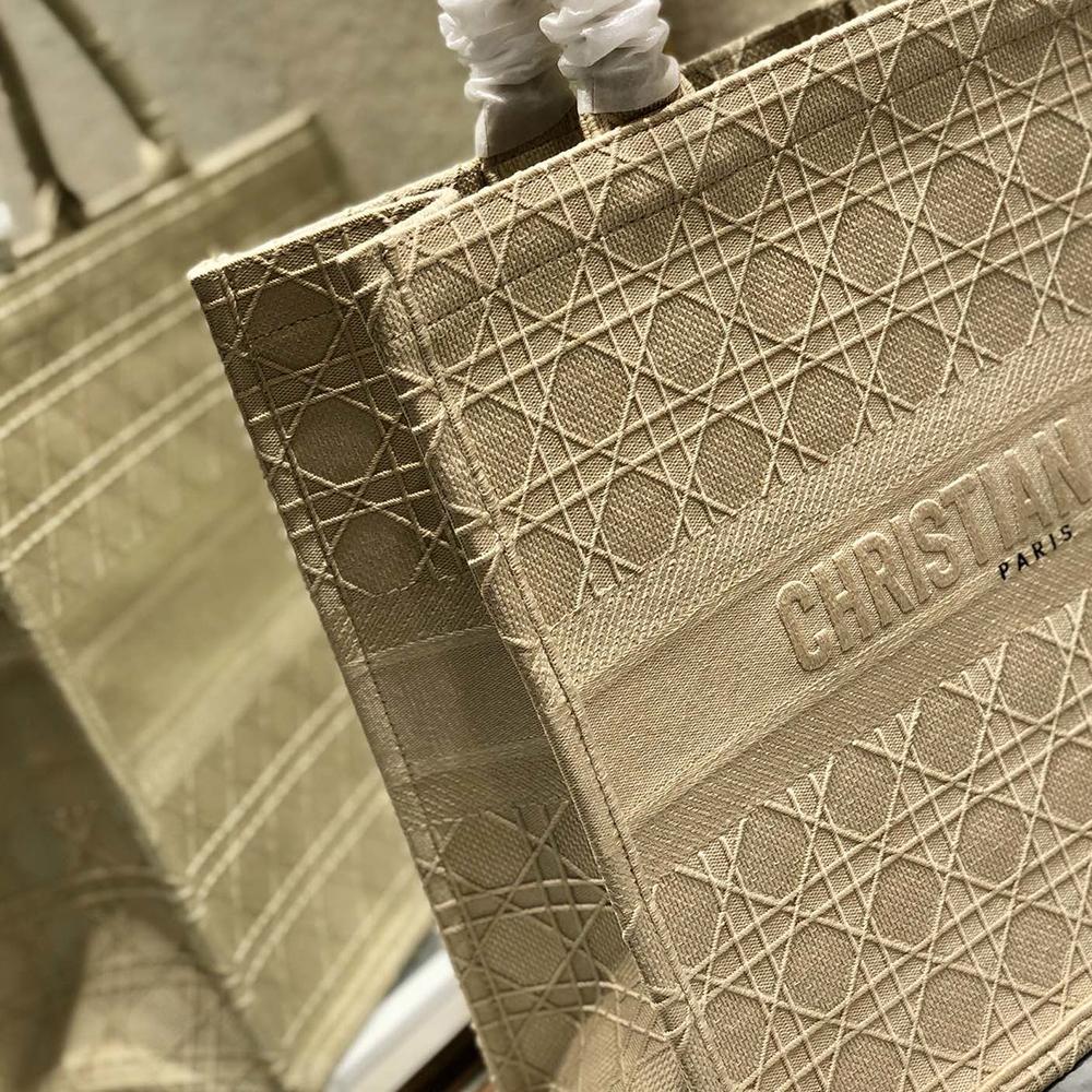 DIOR BOOK TOTE
