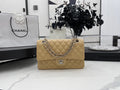 Chanel Bags - BG Bags - 2529