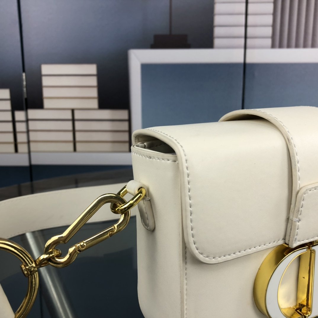 Luxury Handbags Christian Dior 243