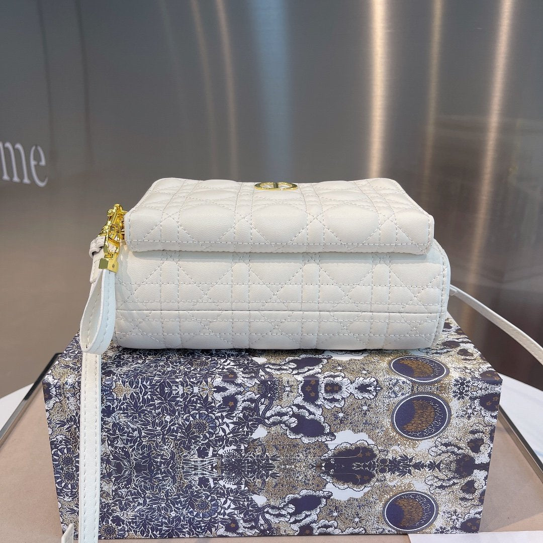 Luxury Handbags Christian Dior 304