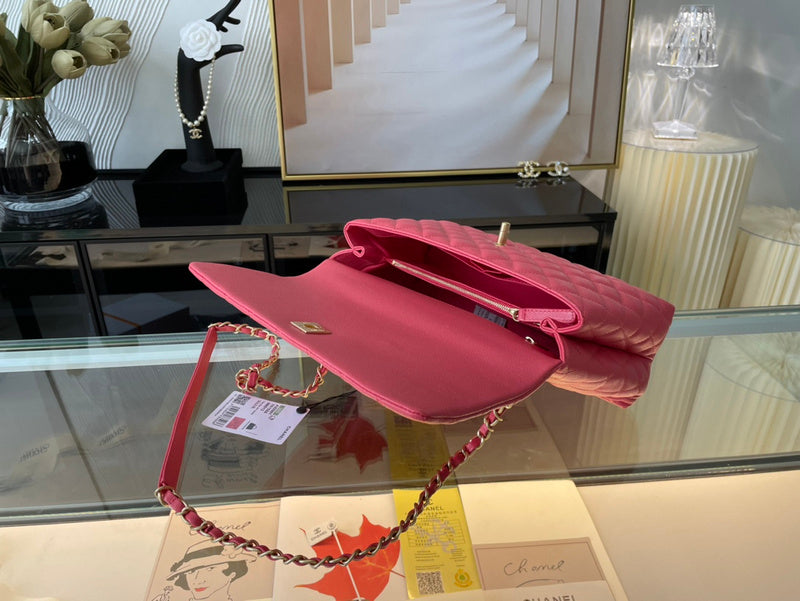 Chanel Bags - BG Bags - 1799