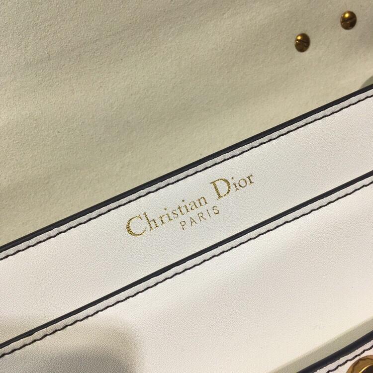 Luxury Handbags Christian Dior 223