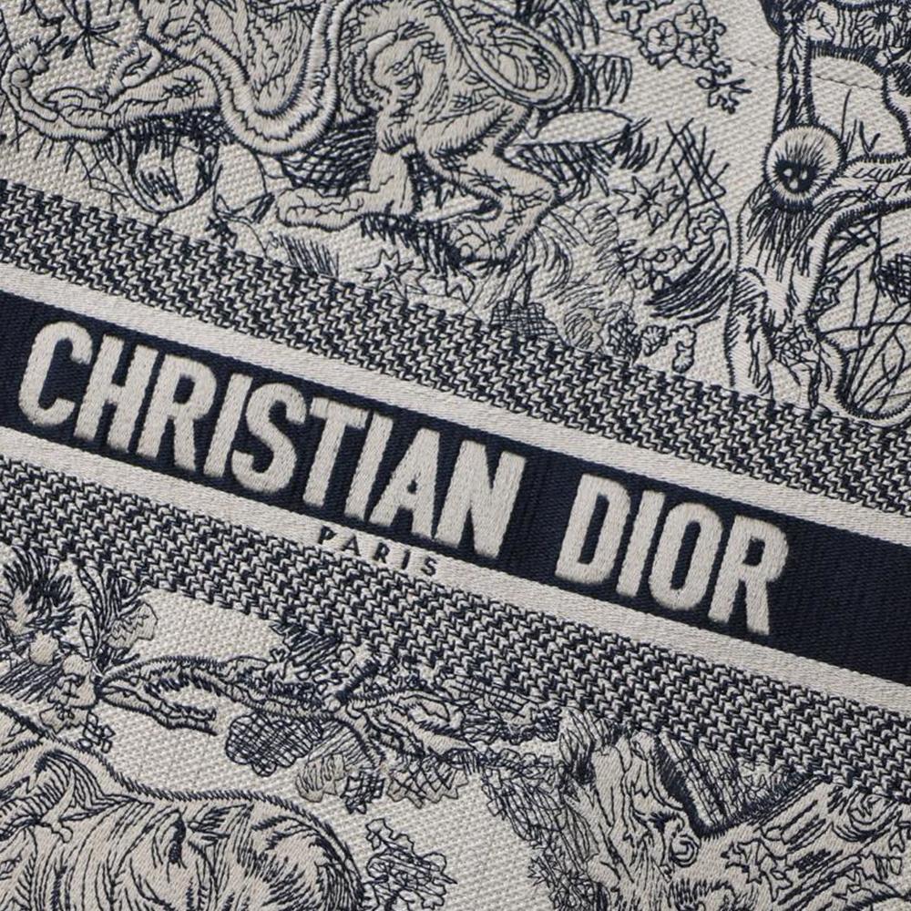 DIOR BOOK TOTE