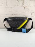 Luxury  Bags Fendi 172