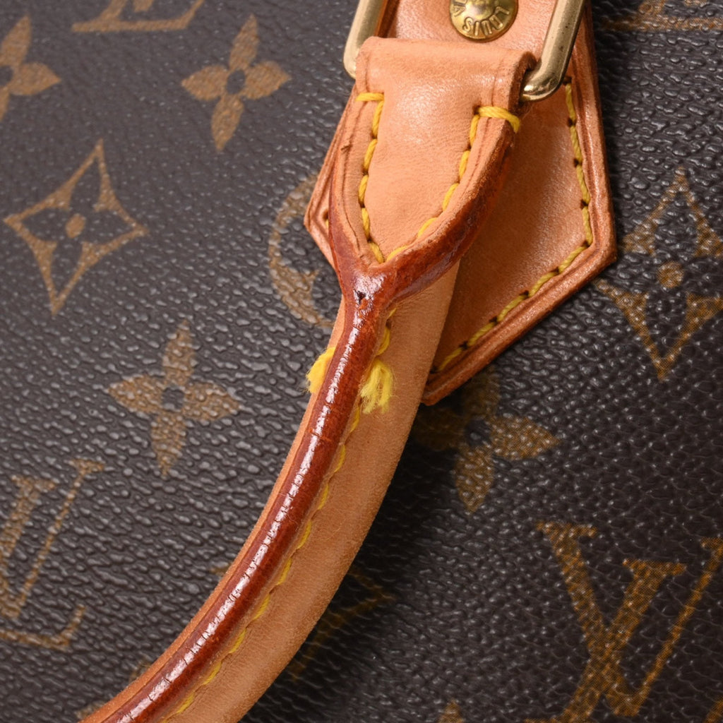 Louis Vuitton Brown Canvas Alma handbag bag
