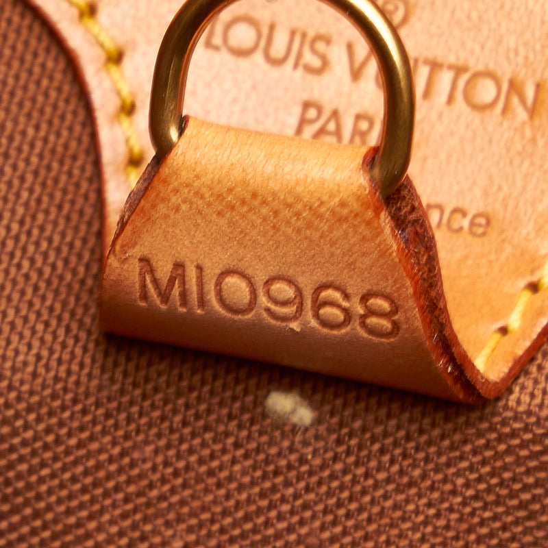 Louis Vuitton Brown Canvas Ellipse handbag bag