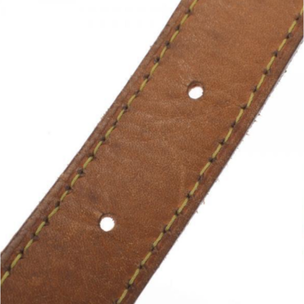 Louis Vuitton Brown Canvas Saumur 35 shoulder bag