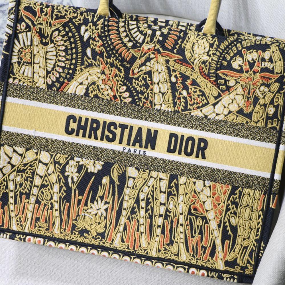 DIOR BOOK TOTE